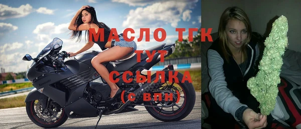 стаф Вяземский